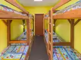 8-местный номер
