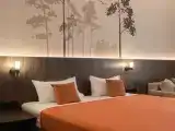Номер стандарт с 1 двуспальной кроватью