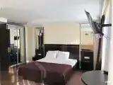 Номер люкс с 1 двуспальной кроватью