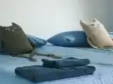 Домик Шуна
