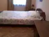 Двухместный номер Standard двуспальная кровать
