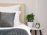 1-комнатные апартаменты, 26м²