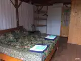 Номер Standard
