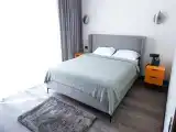 Номер люкс с 1 двуспальной кроватью