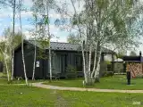 Дом с купелью и камином
