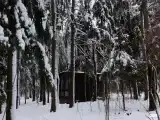 Мини-дом на двоих с панорамными окнами