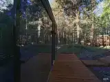 Зеркальный дом с видом на сосновый бор