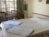 Номер стандарт с 1 двуспальной кроватью и дополнительным местом в коттедже