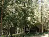 Светлая  изба-1/2 рубленного деревянного дома на 4 человек
