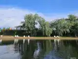 Дом