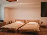 Двухместный номер Superior с видом на парк (2 отдельные кровати)