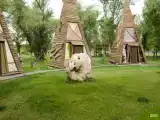 Шатёр