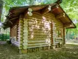 Лесная слобода-шале (гостиная с камином +спальня +верхние покои -полати)