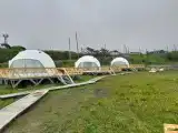 купол мужской