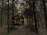 Домик в сосновом лесу
