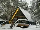 Чум Стандарт