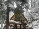 А - фрейм 2