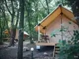 Сафари-тент