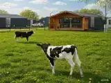 Батин хаус