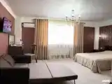 Делюкс с одной двуспальной кроватью и диваном 