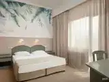 Двухместный номер Standard с балконом и с видом на горы (двуспальная кровать)