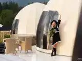 Купол с цветами