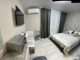 1-комнатные апартаменты с 1 двуспальной кроватью, 17м²