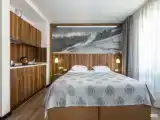 Двухместный номер Superior с красивым видом из окна (двуспальная кровать)