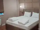 Номер Люкс 207