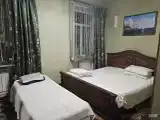 Двухместный номер Зеленый барокко (двуспальная кровать)