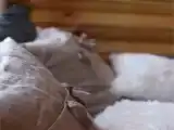 Дом " Семейный"