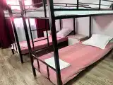Койко-место в женском номере на 12 человек