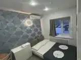 Двухместный номер с большой кроватью (6)