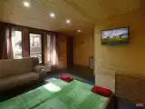 Панорама Лес