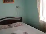 Двухместный номер Standard (двуспальная кровать)