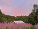 Сафари-тент с чаном