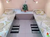 Двухместный номер Economy (двуспальная кровать)
