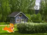 Лазурная линия
