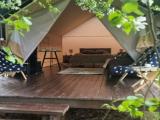 Четырехместный тентхаус