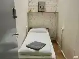 Волк без окна
