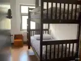 Птичка двухъярусная с окном