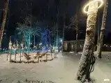 Дом с русской баней на дровах