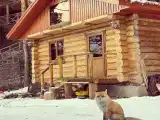 2-местное шале эконом с 2 односпальными кроватями