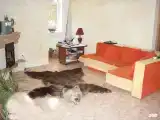 Двухкомнатный Делюкс, 4-х местный номер, 2-х спальная кровать и диван