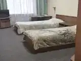 Двухместный номер Стандарт с видом на парк (2 отдельные кровати)