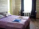 Номер стандарт с 1 двуспальной кроватью