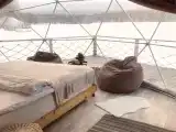 шатер Бархат (амурский)