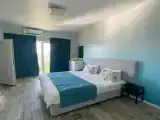 Двухместный номер Deluxe (двуспальная кровать)