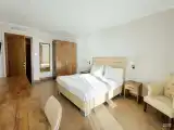 Люкс без балкона вид на парк. Корпус 2