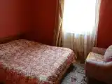 Номер полулюкс с 1 двуспальной кроватью